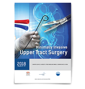 Program: Minimally Invasive Upper Tract Surgery