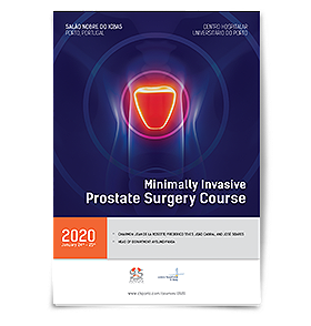 Program: Minimally Invasive Prostate Surgery 